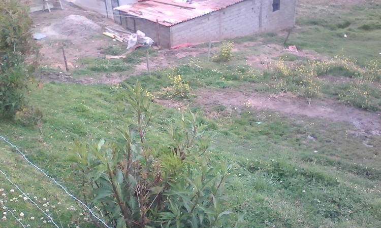 Home in Metric Way