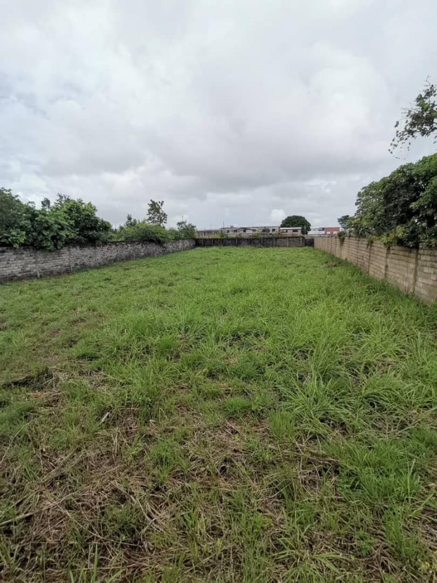 Foto Terreno en Venta en San Simon, Tipuro destras del estacionamiento la Carreta, Monagas - U$D 40.000 - TEV201079 - BienesOnLine