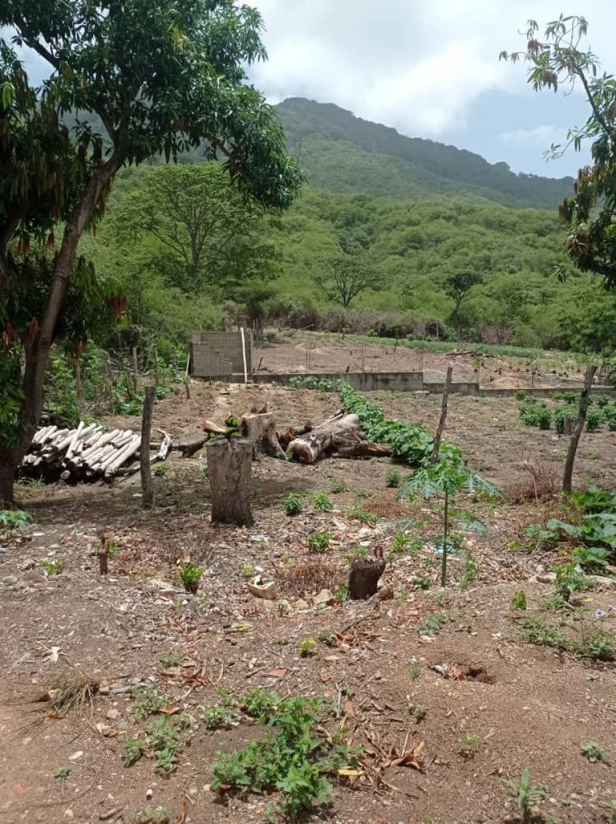 Foto Terreno en Venta en arismendi, avenida 31 de julio sector salamanca, Nueva Esparta - U$D 4.800 - TEV207032 - BienesOnLine