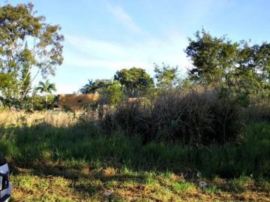 Foto Terreno en Venta en Valencia, Carabobo - U$D 20.000 - TEV131948 - BienesOnLine