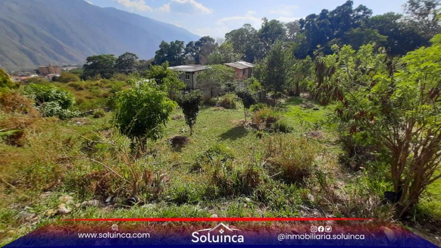 Foto Terreno en Venta en El salado, Mrida - U$D 7.000 - TEV221242 - BienesOnLine