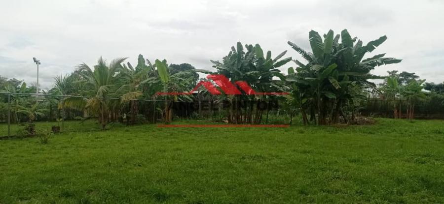 Home in Metric Way