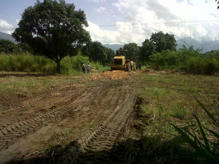 Foto Terreno en Venta en Ciudad Alianza, Guacara, Carabobo - BsF 1.000.000 - TEV49403 - BienesOnLine