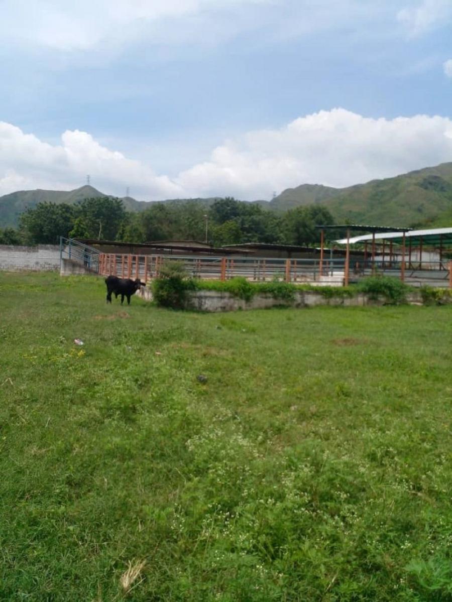 Foto Terreno en Venta en Turmero, Aragua - U$D 250.000 - TEV163790 - BienesOnLine