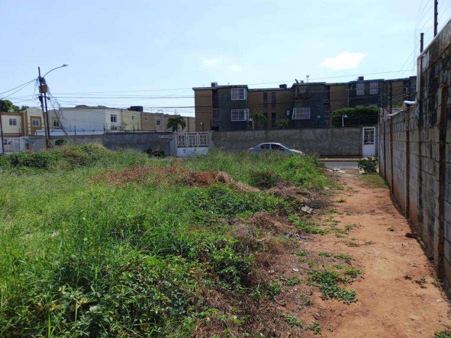 Foto Terreno en Venta en San Francisco, San Francisco, Zulia - U$D 45.000 - TEV214947 - BienesOnLine