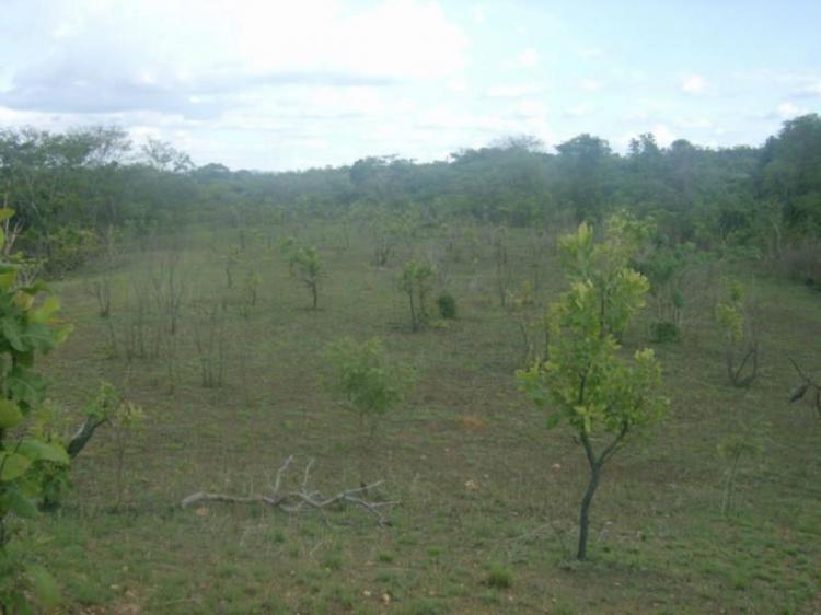 Foto Terreno en Venta en Valencia, Carabobo - BsF 35.000.000 - TEV64865 - BienesOnLine