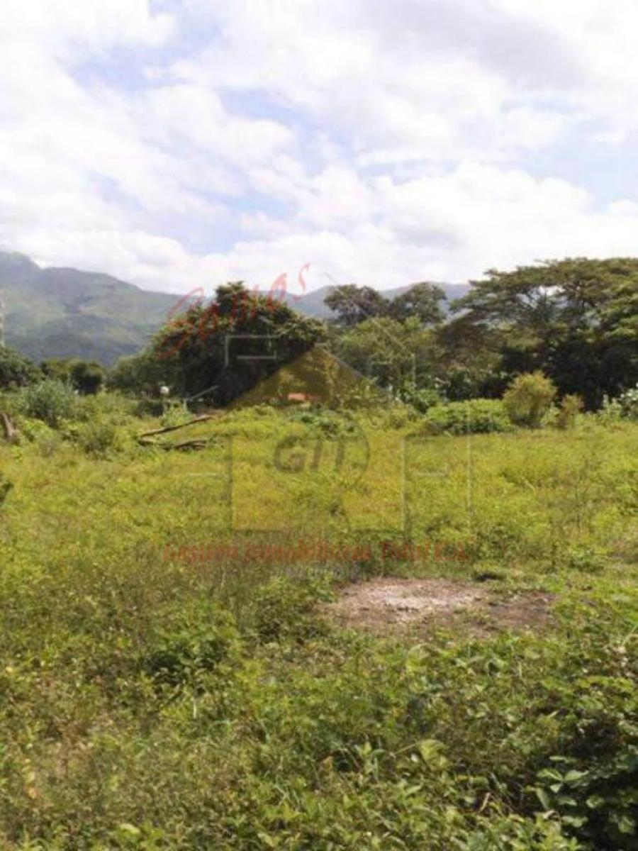 Foto Terreno en Venta en San Diego, San Diego, Carabobo - U$D 104.999 - TEV160550 - BienesOnLine