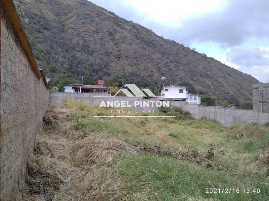 Foto Terreno en Venta en Valera, Trujillo - U$D 12.000 - TEV254277 - BienesOnLine