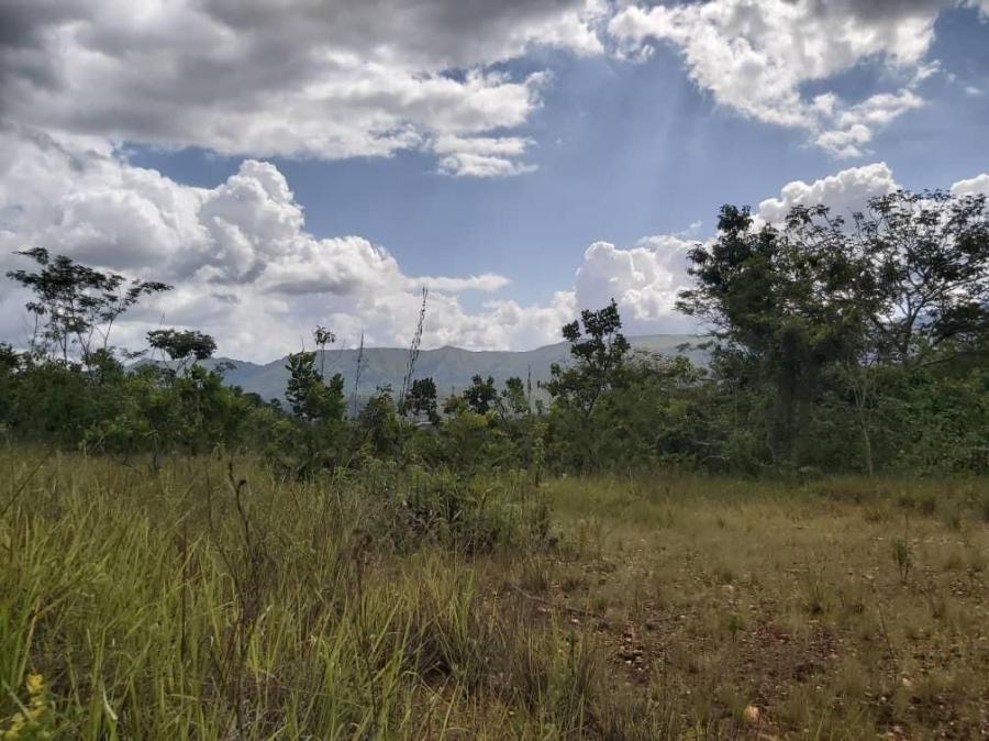 Foto Terreno en Venta en Guataparo, Valencia, Carabobo - U$D 70.000 - TEV136102 - BienesOnLine