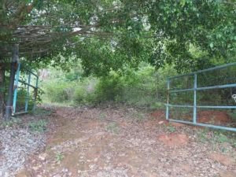 Foto Terreno en Venta en guataparo valencia carabobo, Valencia, Carabobo - U$D 1.150.000 - TEV153550 - BienesOnLine