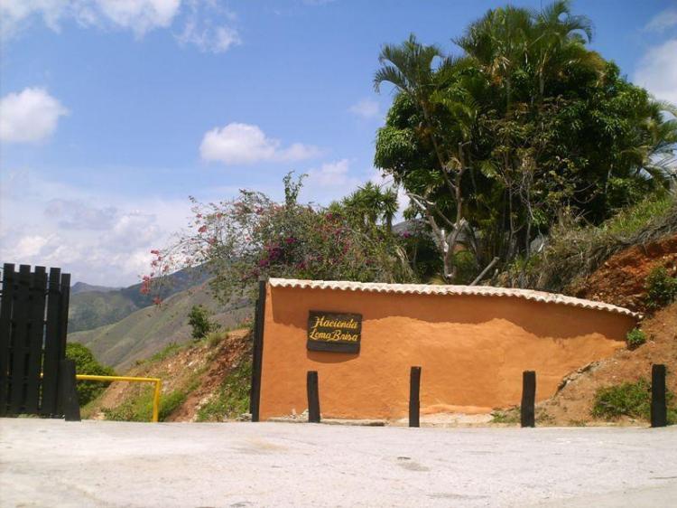 Foto Terreno en Venta en La Victoria, Aragua - BsF 25.000.000 - TEV81111 - BienesOnLine