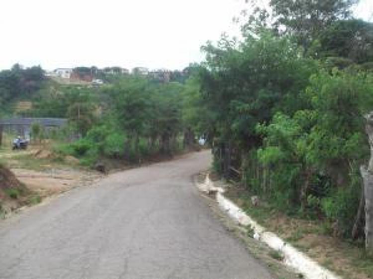 Foto Terreno en Venta en Las Piedritas, Nirgua, Yaracuy - BsF 10.000.000 - TEV88107 - BienesOnLine