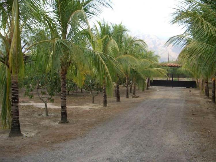 Foto Terreno en Venta en El Polvero, San Diego, Carabobo - BsF 3.850.000 - TEV52702 - BienesOnLine