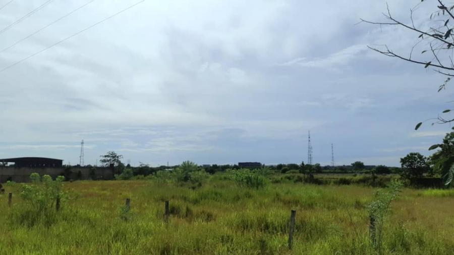 Foto Terreno en Venta en SAN MIGUEL, Maturn, Monagas - 2 hectareas - U$D 94.500 - TEV212665 - BienesOnLine