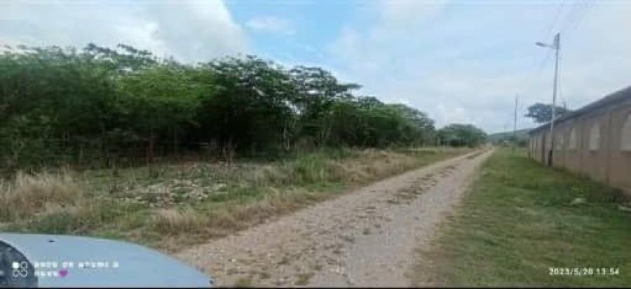 Foto Terreno en Venta en Barquisimeto, Lara - U$D 168.000 - TEV207493 - BienesOnLine