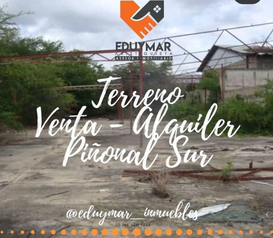 Foto Terreno en Venta en Pional Sur Zona Industrial, Maracay, Aragua - U$D 800.000 - TEV155983 - BienesOnLine