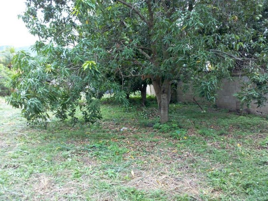 Foto Terreno en Venta en Guacara Yagua, Linaginett & Sky Group Vende Terreno en Yagua sect, Carabobo - BsF 8.000 - TEV121459 - BienesOnLine