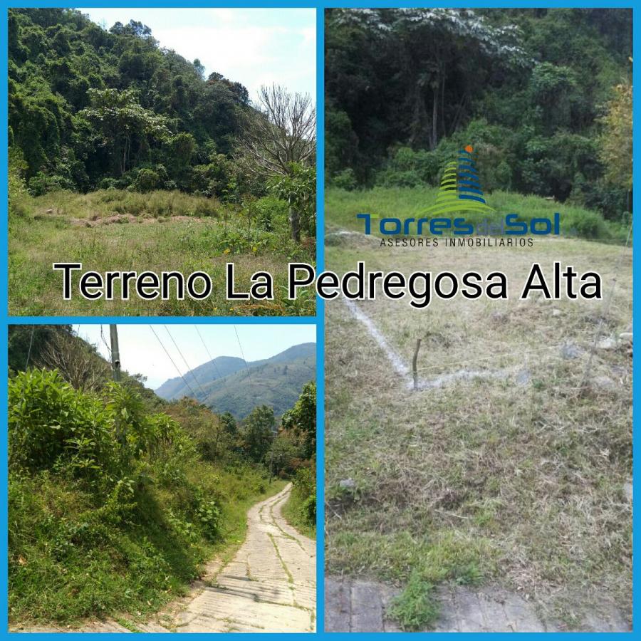 Foto Terreno en Venta en Mrida, Mrida, Mrida - TEV116086 - BienesOnLine