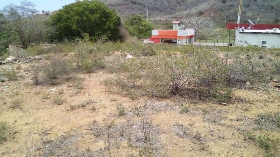 Foto Terreno en Venta en 6314, Los Robles, PDV D'e Sario, Nueva Esparta - U$D 8.500 - TEV172284 - BienesOnLine