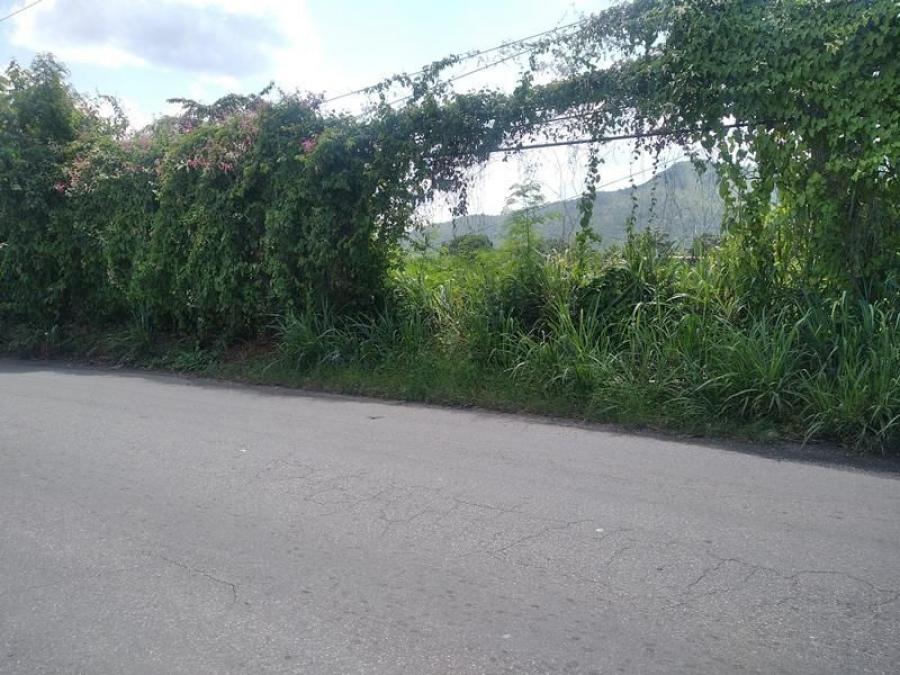 Foto Terreno en Venta en San Diego, Carabobo - U$D 100.000 - TEV177277 - BienesOnLine