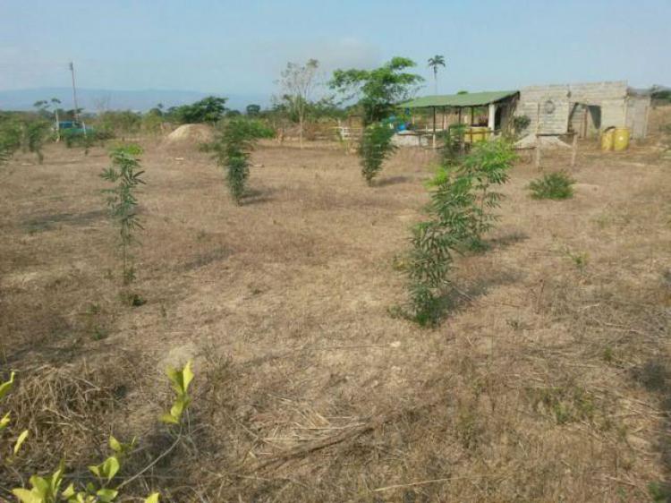 Foto Terreno en Venta en Barquisimeto, Lara - BsF 17.000.000 - TEV92633 - BienesOnLine