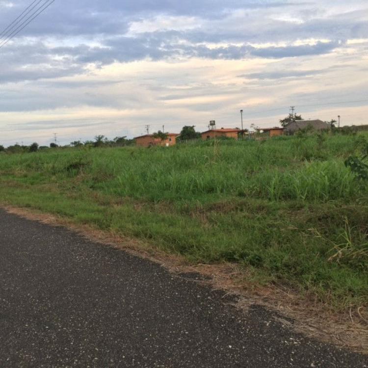 Foto Terreno en Venta en Araure, Acarigua, Portuguesa - BsF 10.000.000 - TEV89596 - BienesOnLine