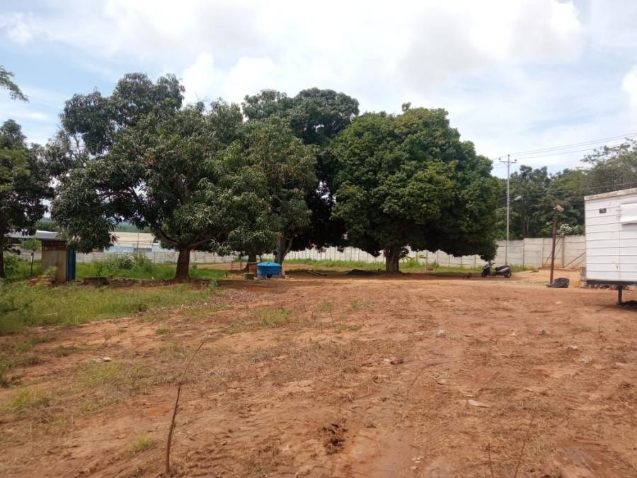 Foto Terreno en Venta en la campia, Lara - U$D 350.000 - TEV208792 - BienesOnLine