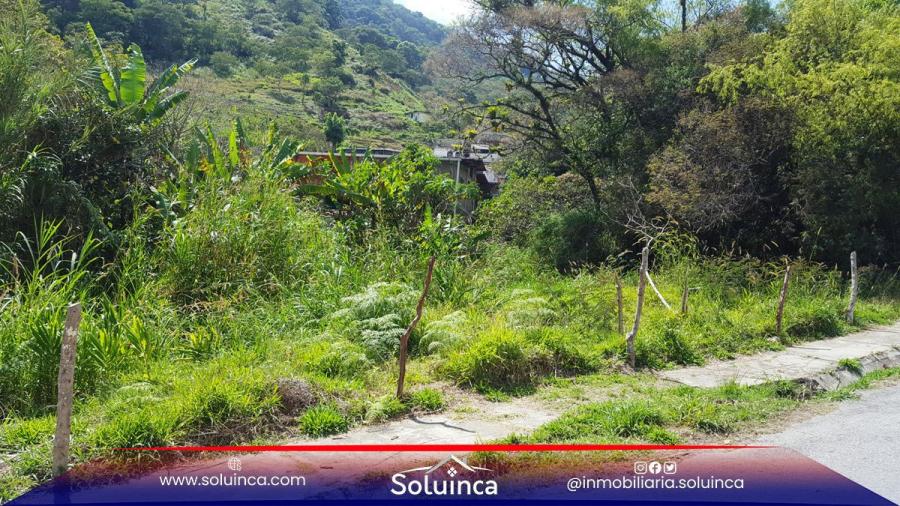 Foto Terreno en Venta en Libertador, Merida La hechicera, Mrida - U$D 4.990 - TEV114638 - BienesOnLine