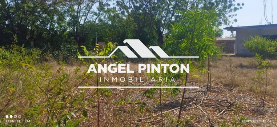 Foto Terreno en Venta en Oeste, Maracaibo, Zulia - U$D 9.000 - TEV250172 - BienesOnLine