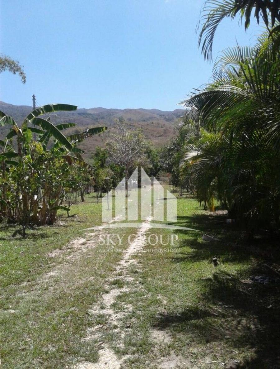 Foto Terreno en Venta en Aguirre, Montalbn, Carabobo - U$D 35.000 - TEV131866 - BienesOnLine