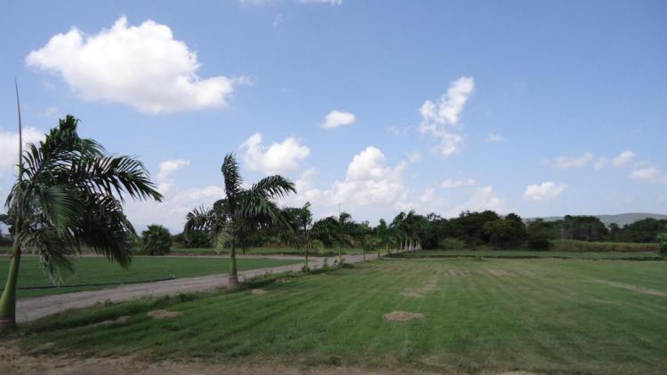 Foto Terreno en Venta en Yaritagua, Yaracuy - BsF 852.000.000 - TEV75960 - BienesOnLine