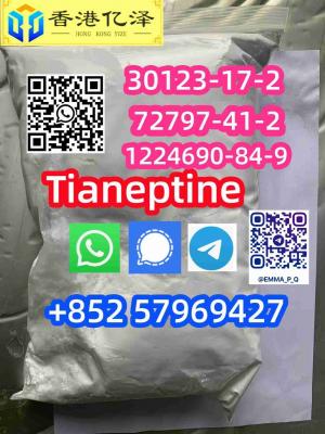 Tianeptine 72797-41-2 30123-17-2 1224690-84-9