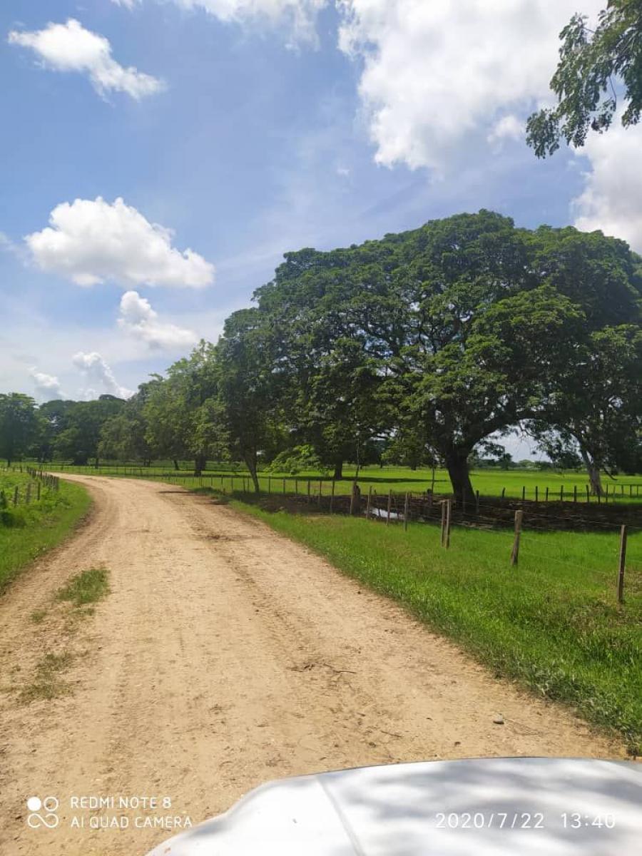 Foto Finca en Venta en Barinas, Barinas - FIV141887 - BienesOnLine