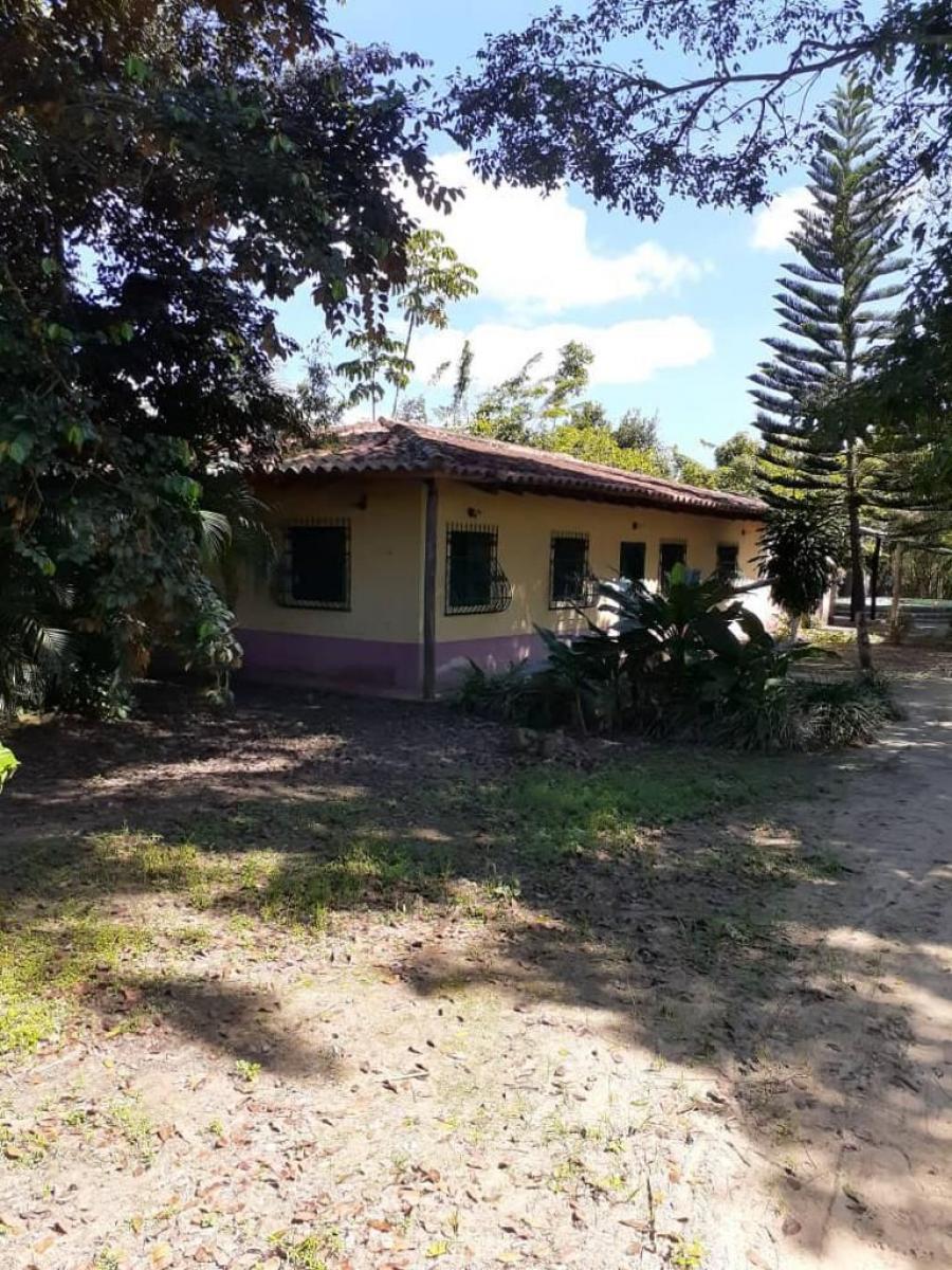 Foto Finca en Venta en Nirgua, Yaracuy - U$D 150.000 - FIV187690 - BienesOnLine