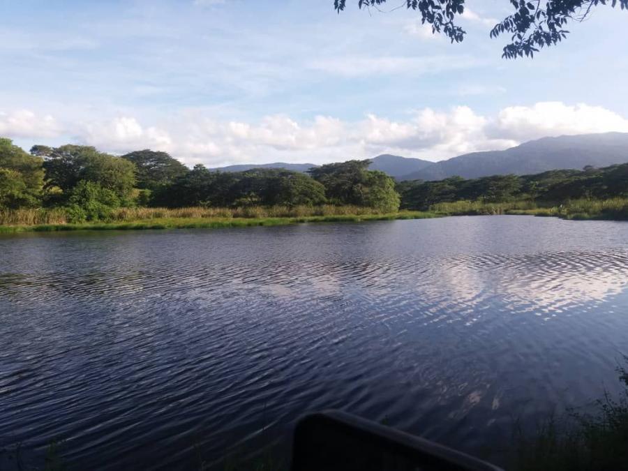 Foto Finca en Venta en Yumare, Yaracuy - FIV114331 - BienesOnLine