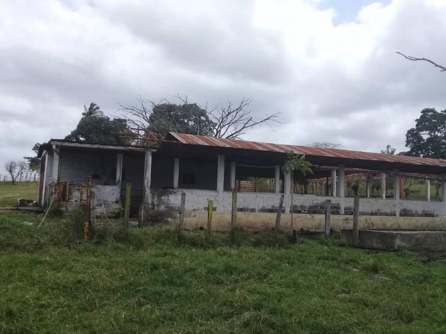 Foto Finca en Venta en Yumare, Yaracuy - 118 hectareas - FIV114364 - BienesOnLine