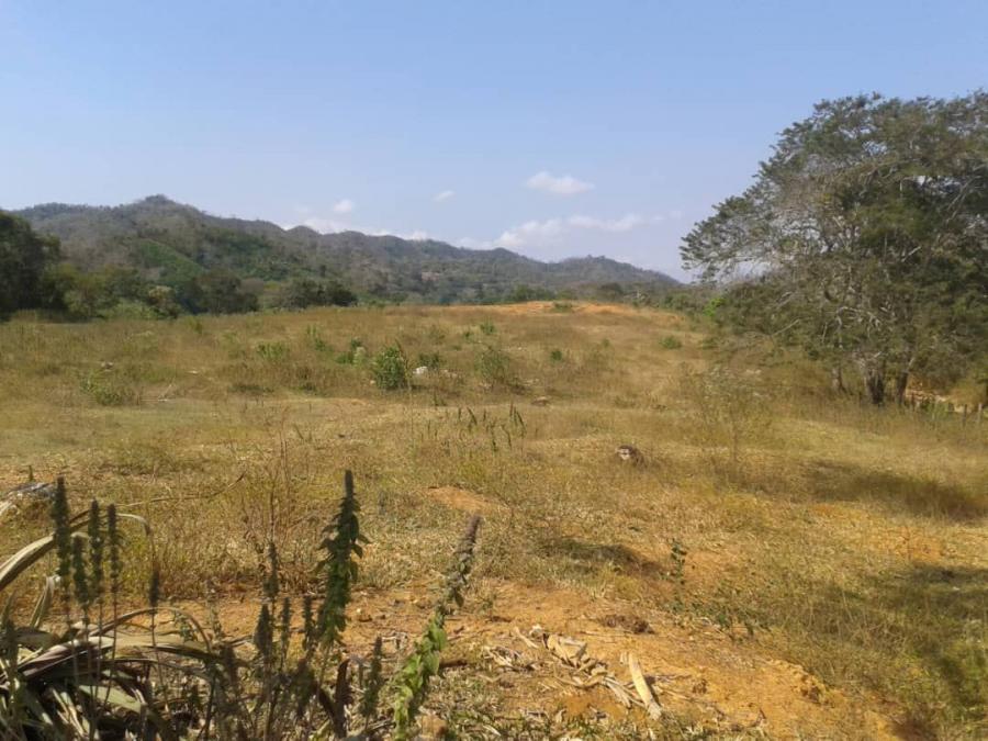 Foto Finca en Venta en San Felipe, Yaracuy - 350 hectareas - BsF 800.000 - FIV113224 - BienesOnLine