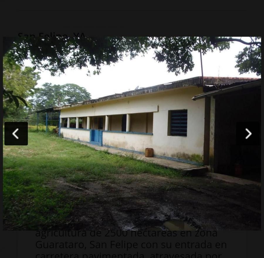 Foto Finca en Venta en san javier, San Felipe, Yaracuy - 2000 hectareas - BsF 850.000 - FIV113998 - BienesOnLine