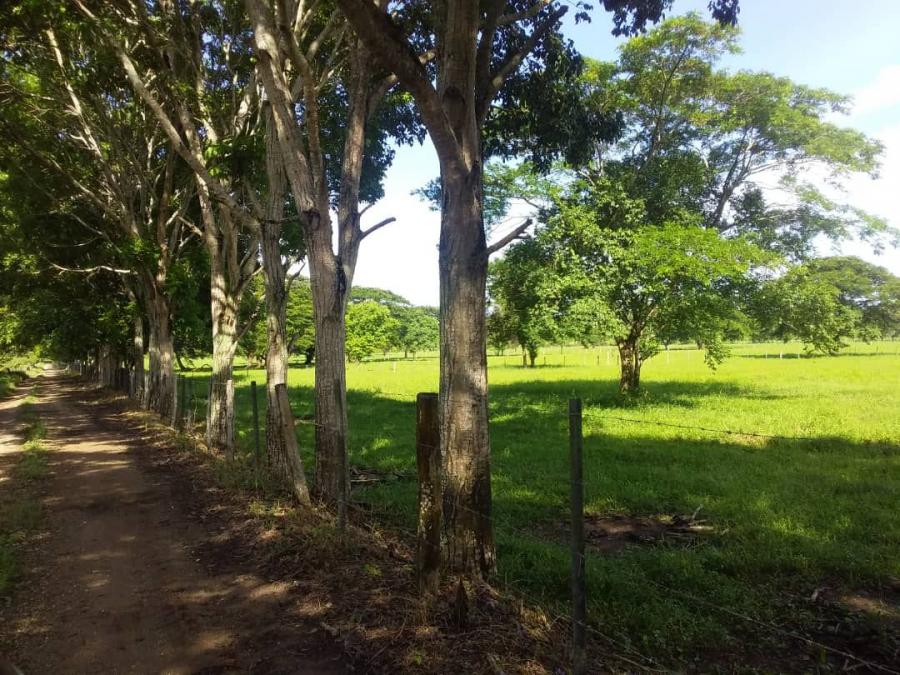 Foto Finca en Venta en San Fernando, Apure - U$D 4.000.000 - FIV141918 - BienesOnLine