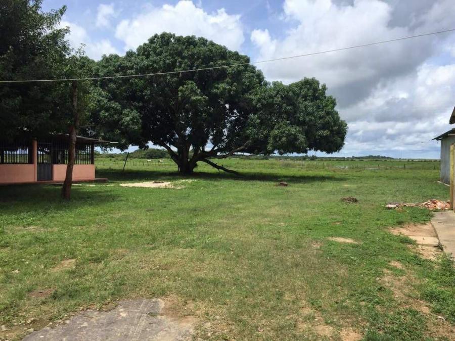 Foto Finca en Venta en San Fernando, Apure - U$D 7.000.000 - FIV141916 - BienesOnLine