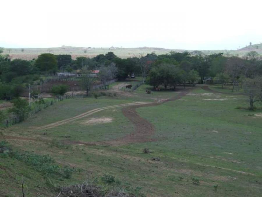 Foto Terreno en Venta en cedeño, Maturín, Monagas - U$D 185.000 - TEV200366 - BienesOnLine