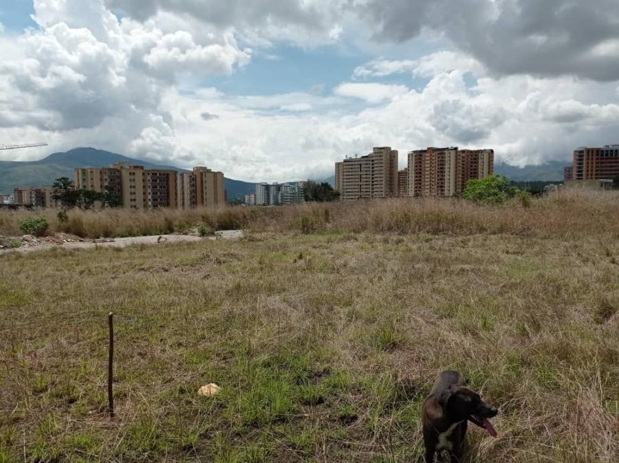 Foto Terreno en Venta en Maongo, Naguanagua, Carabobo - U$D 16.500 - TEV157045 - BienesOnLine