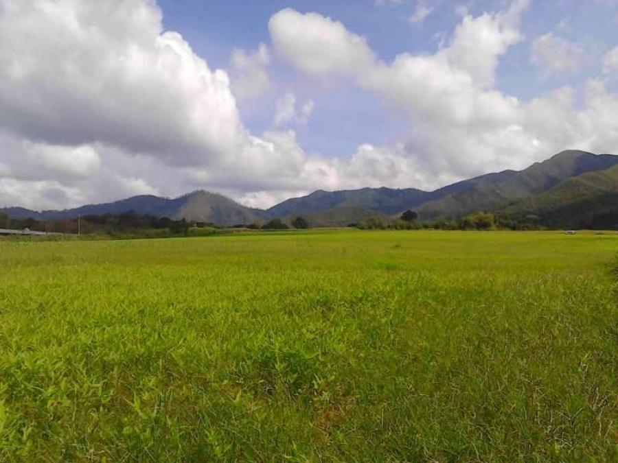 Foto Terreno en Venta en Altos de reyes, Bejuma, Carabobo - 8 hectareas - U$D 55 - TEV124619 - BienesOnLine