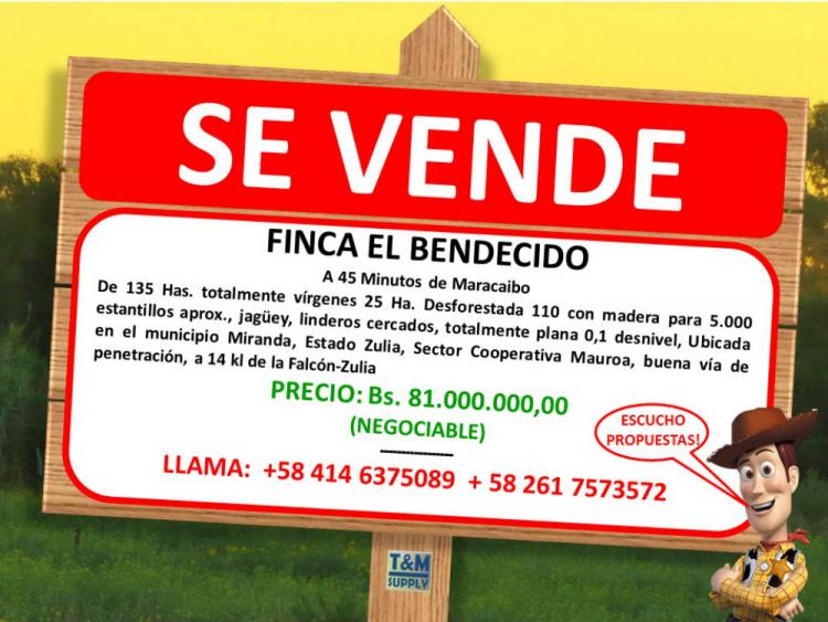 Foto Finca en Venta en SECTOR COOPERATIVA DE MAUROA, Maracaibo, Zulia - 135 hectareas - BsF 54.000.000 - FIV82488 - BienesOnLine