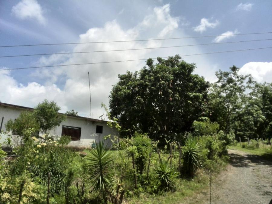 Foto Casa en Venta en San Casimiro, Aragua - U$D 3.000 - CAV128216 - BienesOnLine