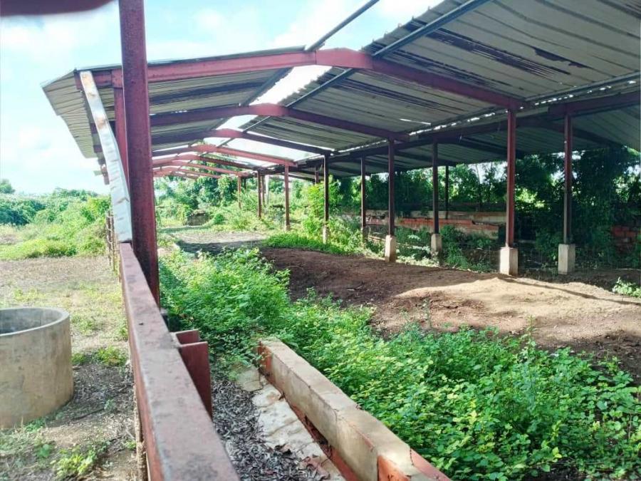 Foto Finca en Venta en LA CONCEPCION, via el autodromo Km 18, Zulia - 103 hectareas - U$D 60.000 - FIV150922 - BienesOnLine