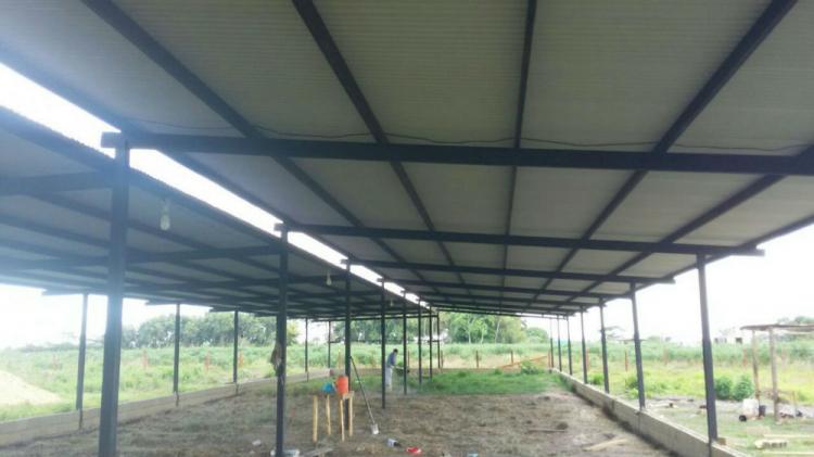 Foto Terreno en Venta en Maturn, Monagas - BsF 25.000.000 - TEV93557 - BienesOnLine