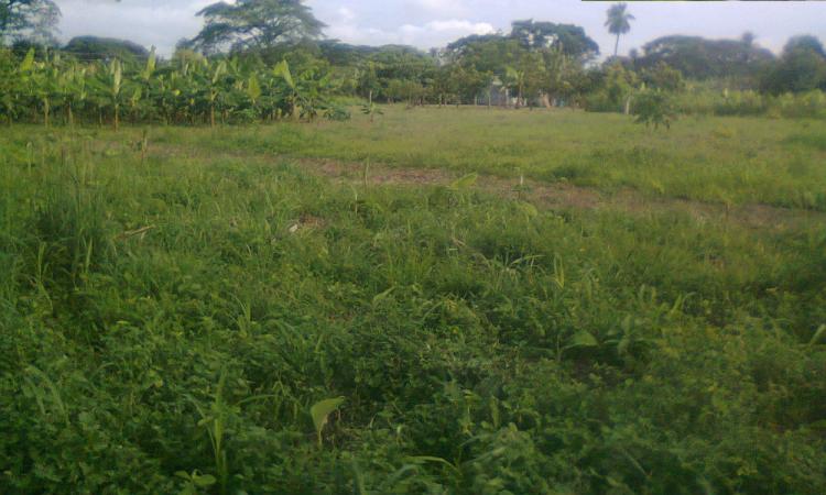 Home in Metric Way