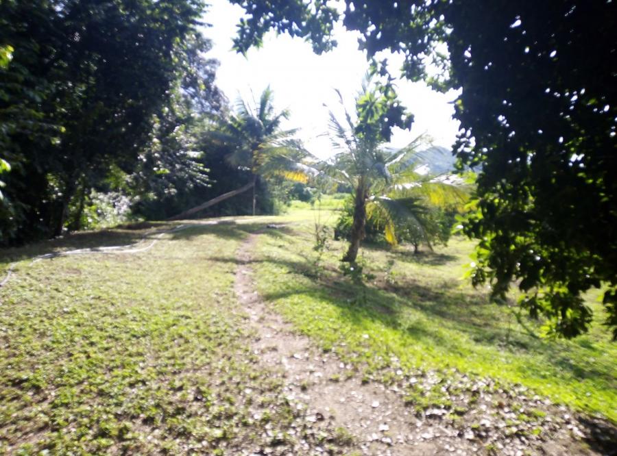 Foto Terreno en Venta en Santa Cruz, Aragua - U$D 6.000 - TEV209554 - BienesOnLine