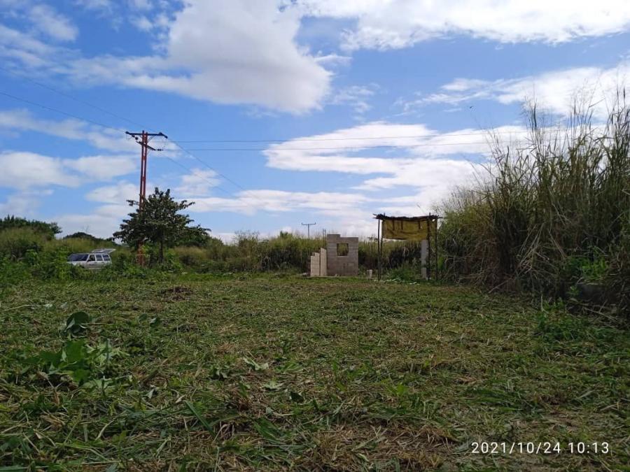 Foto Terreno en Venta en Lamas, Frente al liceo Carlos Ramn Aponte, Aragua - TEV159227 - BienesOnLine